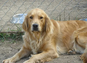Lola September 2010